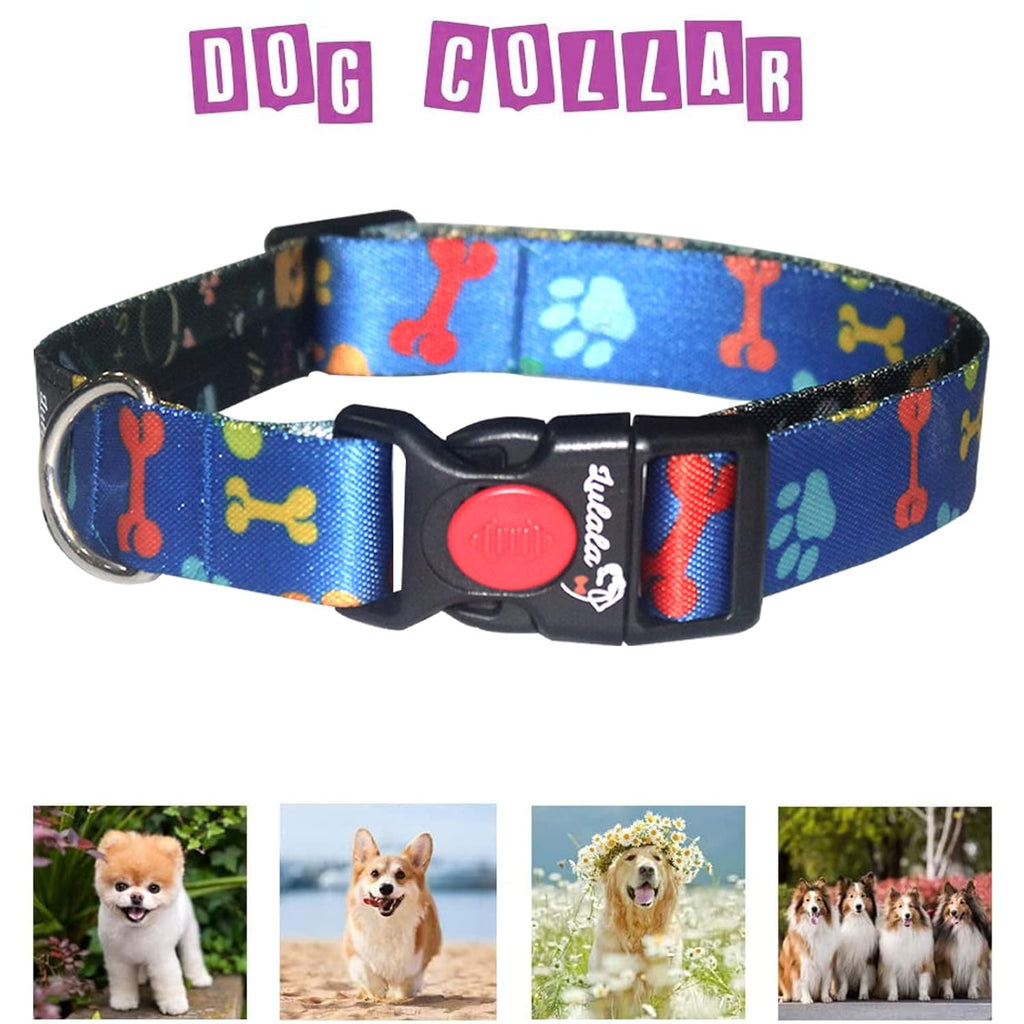 Dog Collar, Leash and Waist Belt Set
