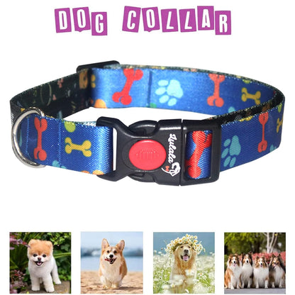 Dog Collar, Leash and Waist Belt Set