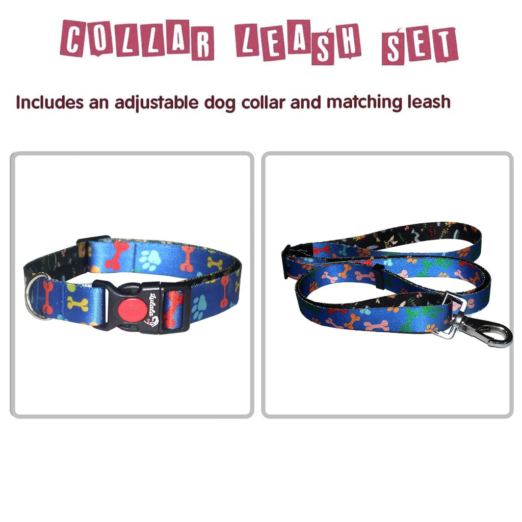 Dog Collar, Leash and Waist Belt Set