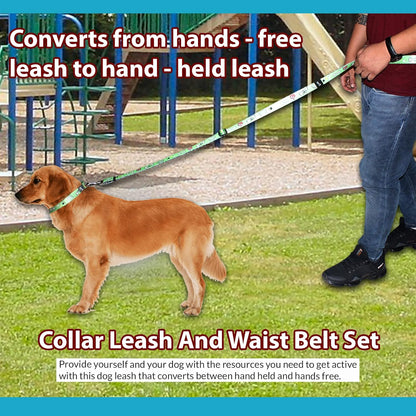 Dog Collar, Leash and Waist Belt Set