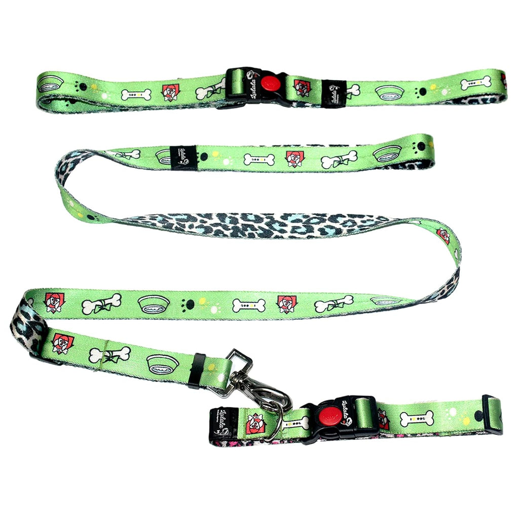 Dog Collar, Leash and Waist Belt Set