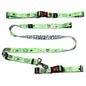 Dog Collar, Leash and Waist Belt Set