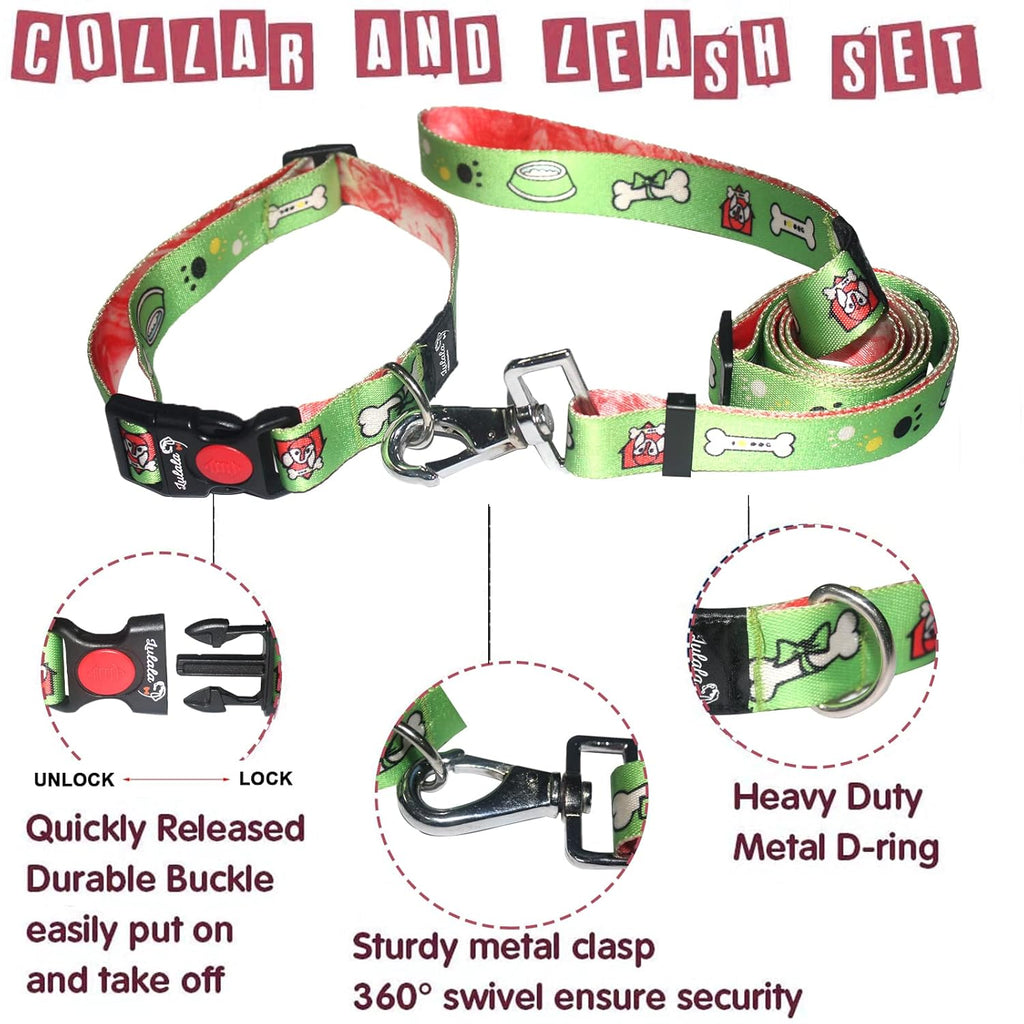 Dog Collar, Leash and Waist Belt Set