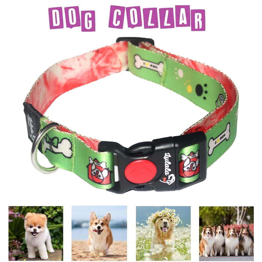 Dog Collar, Leash and Waist Belt Set