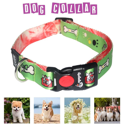 Dog Collar, Leash and Waist Belt Set