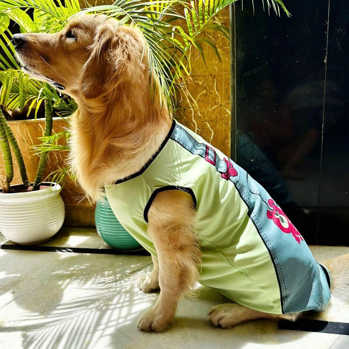 Dog Printed T-Shirts Clothes Vest