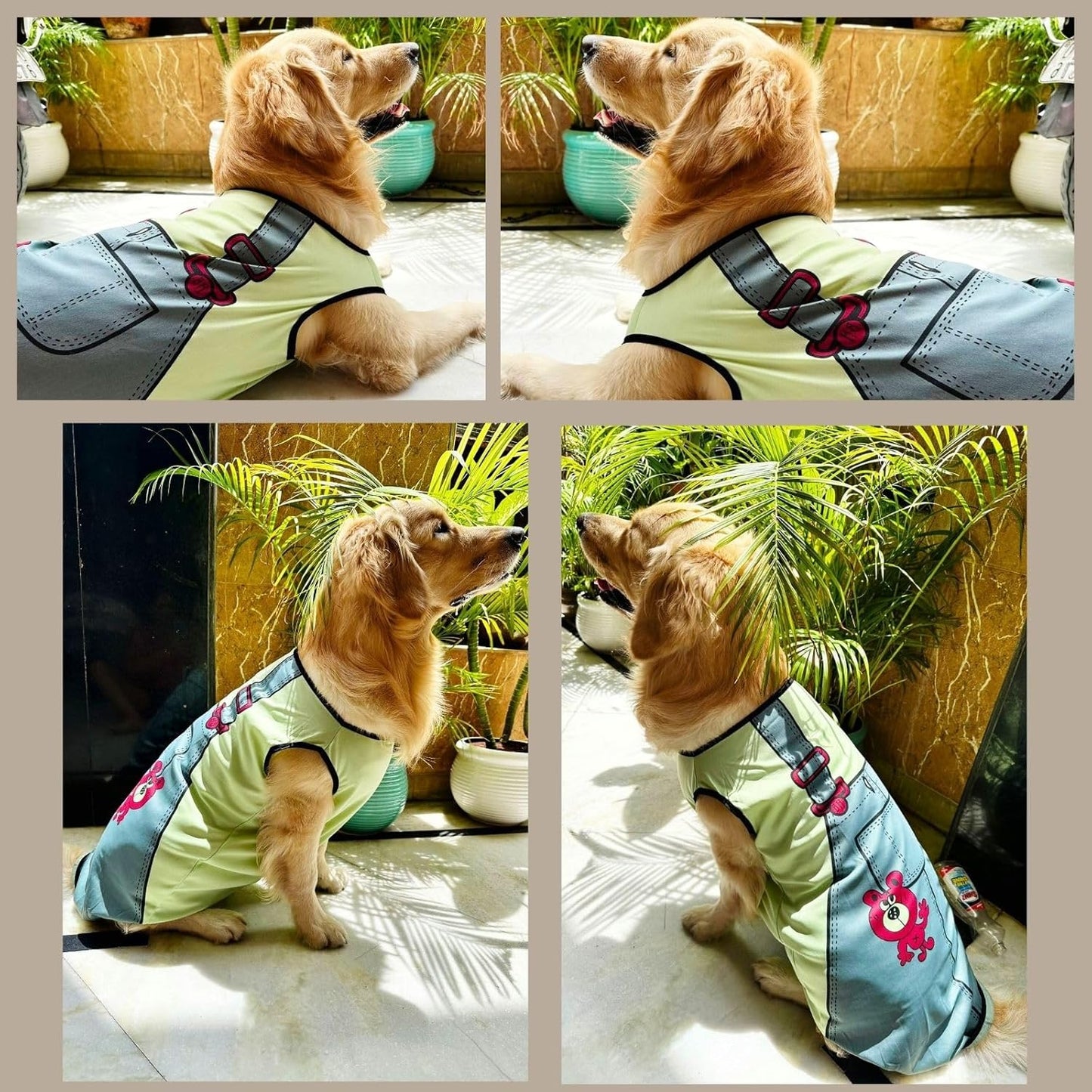 Dog Printed T-Shirts Clothes Vest