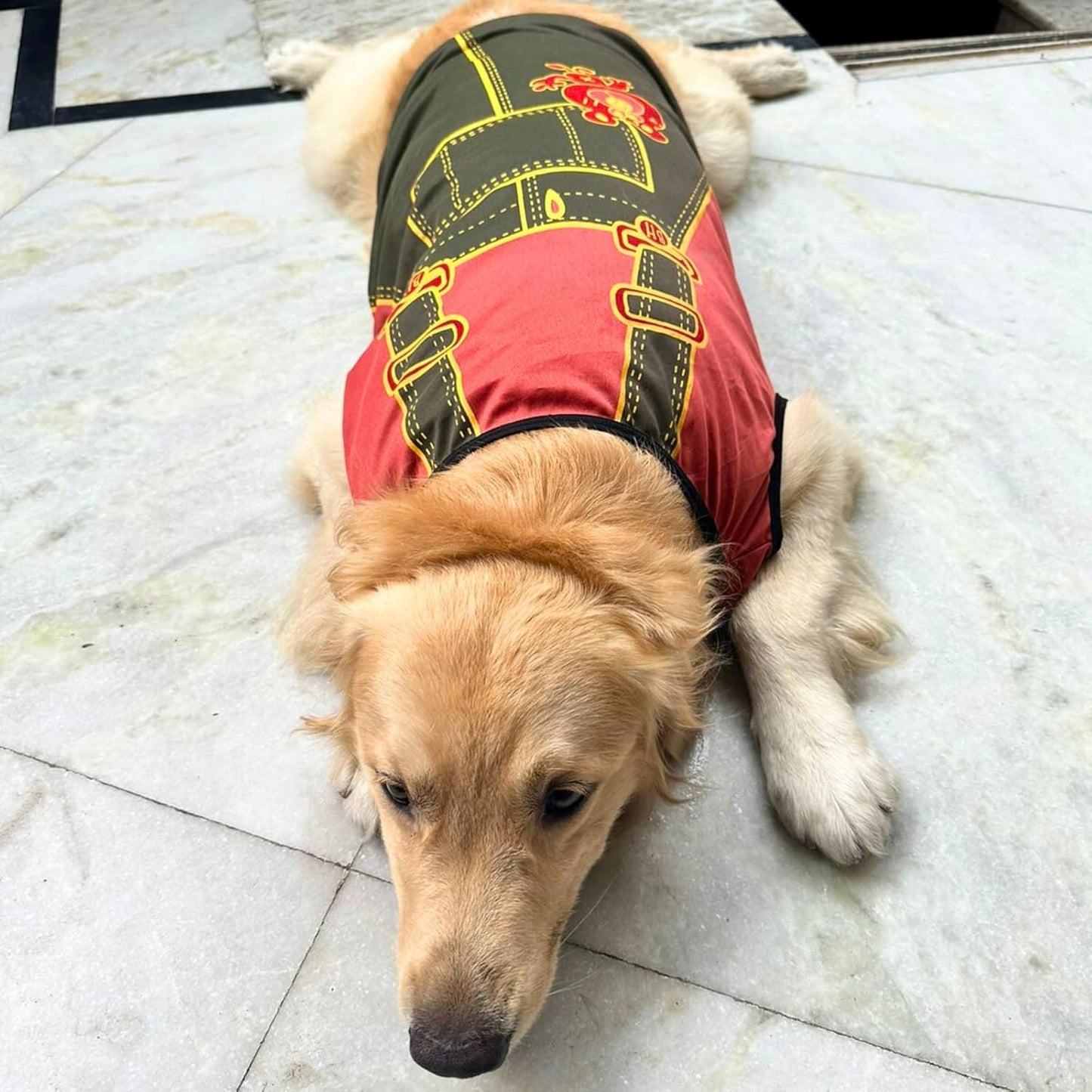 Dog Printed T-Shirts Clothes Vest