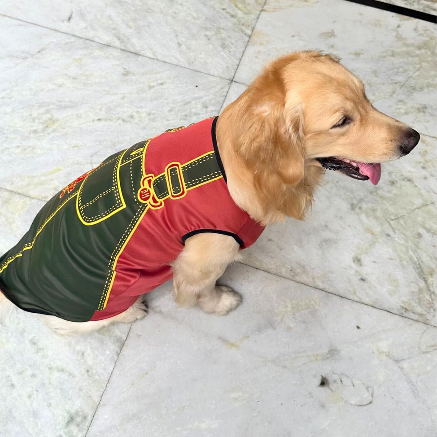 Dog Printed T-Shirts Clothes Vest