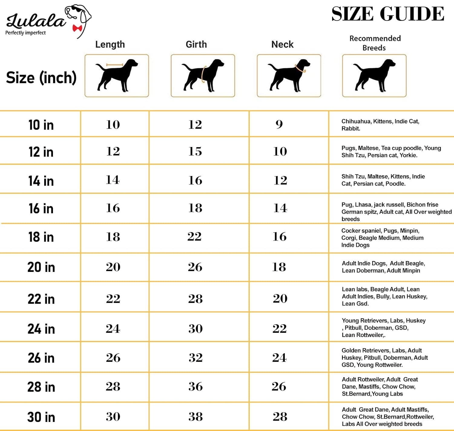 Printed T-Shirts for Dogs