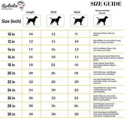 Printed T-Shirts for Dogs