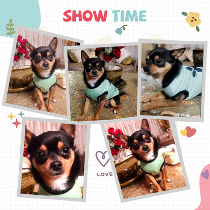 Summer Printed Pet T-Shirt