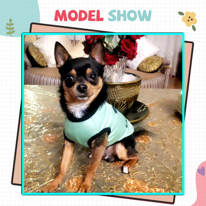 Summer Printed Pet T-Shirt