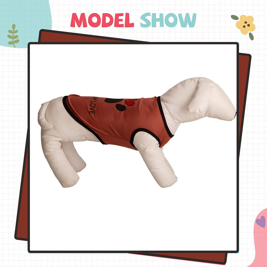 Summer Printed Pet T-Shirt