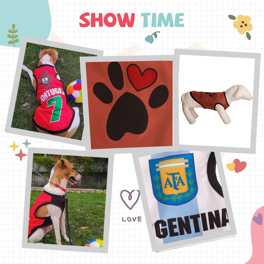 Summer Printed Pet T-Shirt