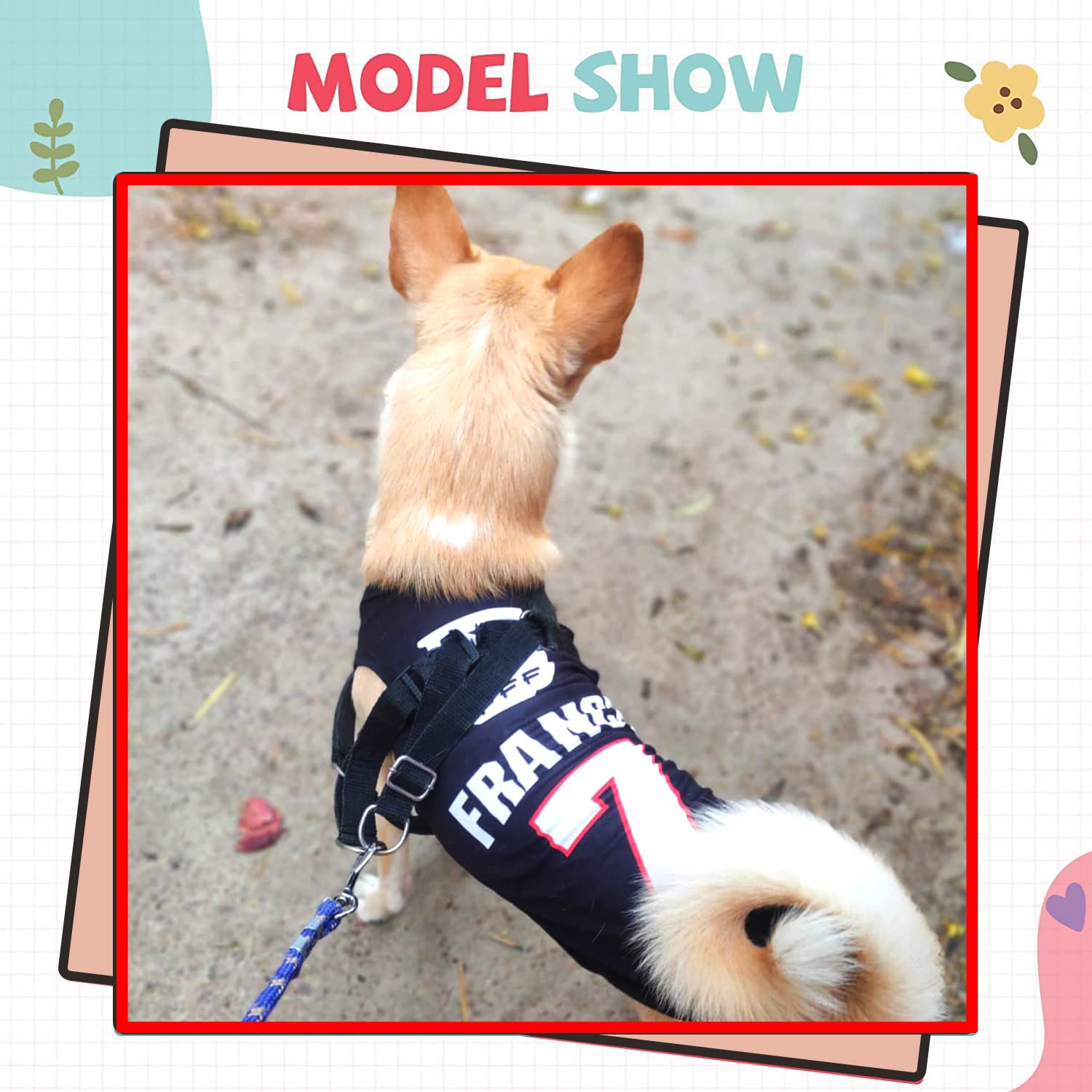 France Printed Summer Pet T-Shirt