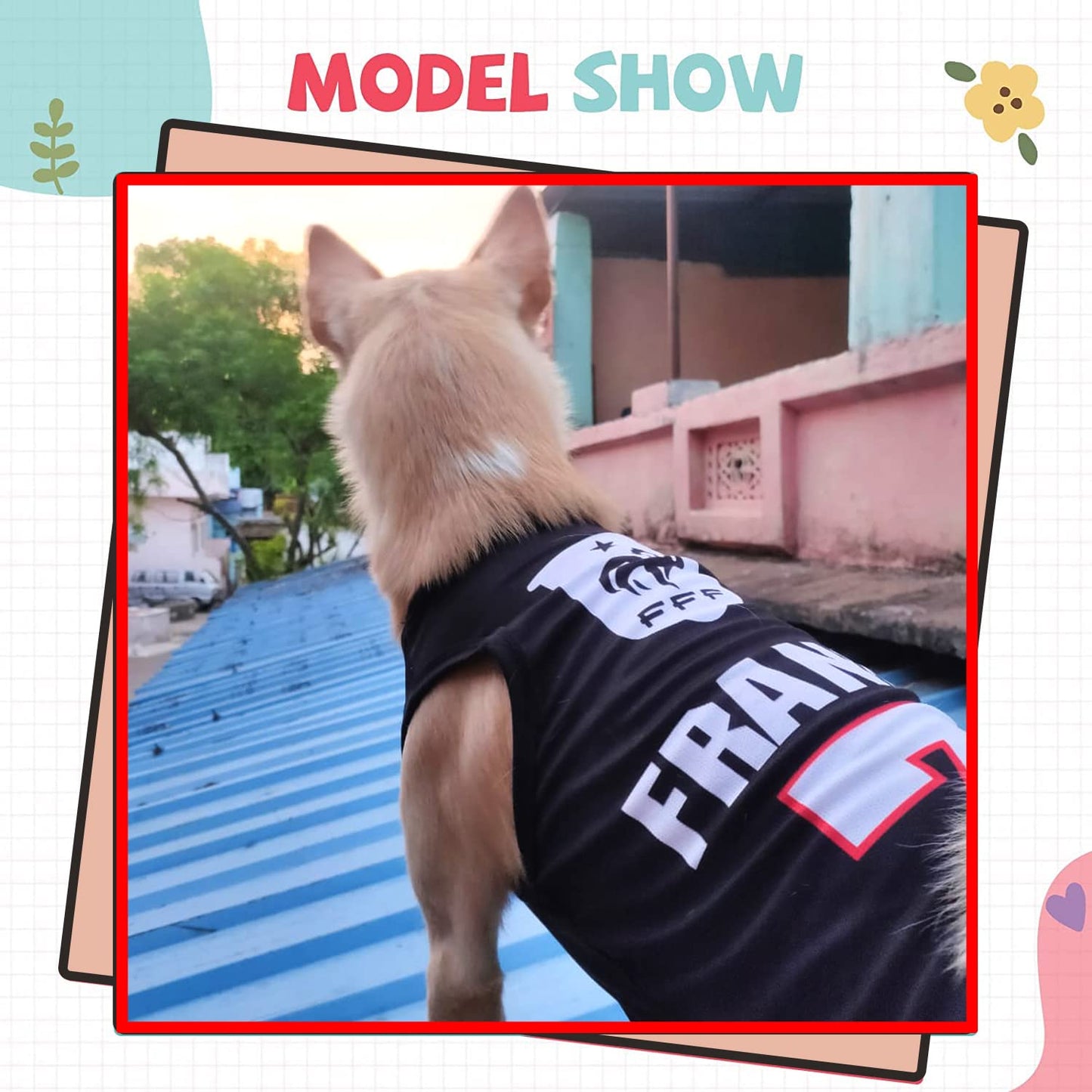 France Printed Summer Pet T-Shirt