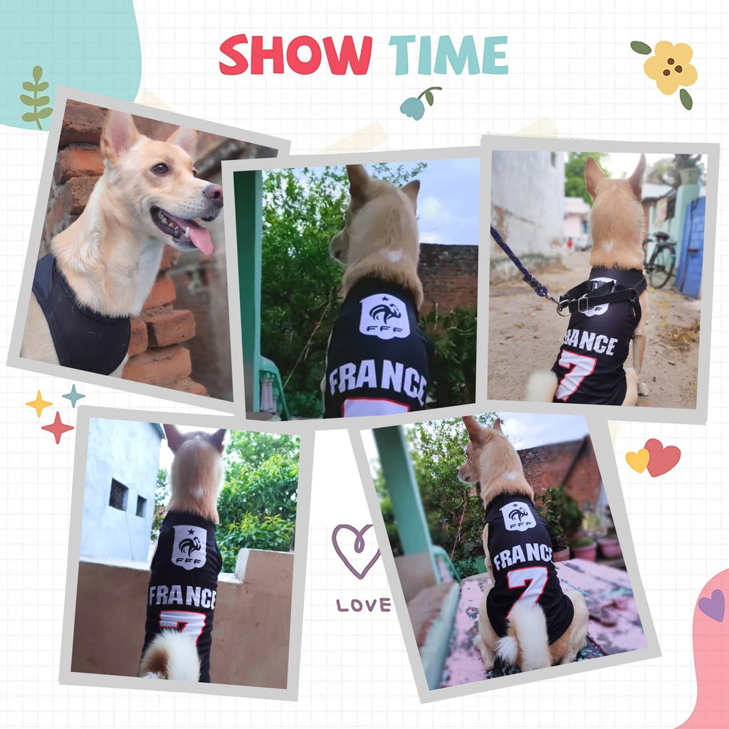 France Printed Summer Pet T-Shirt