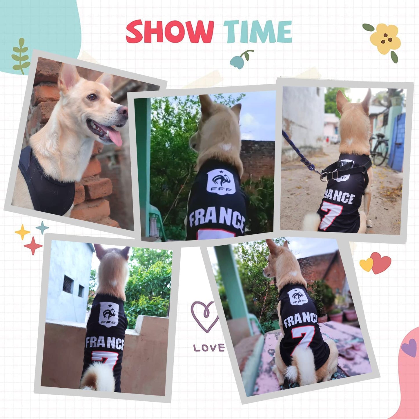 France Printed Summer Pet T-Shirt