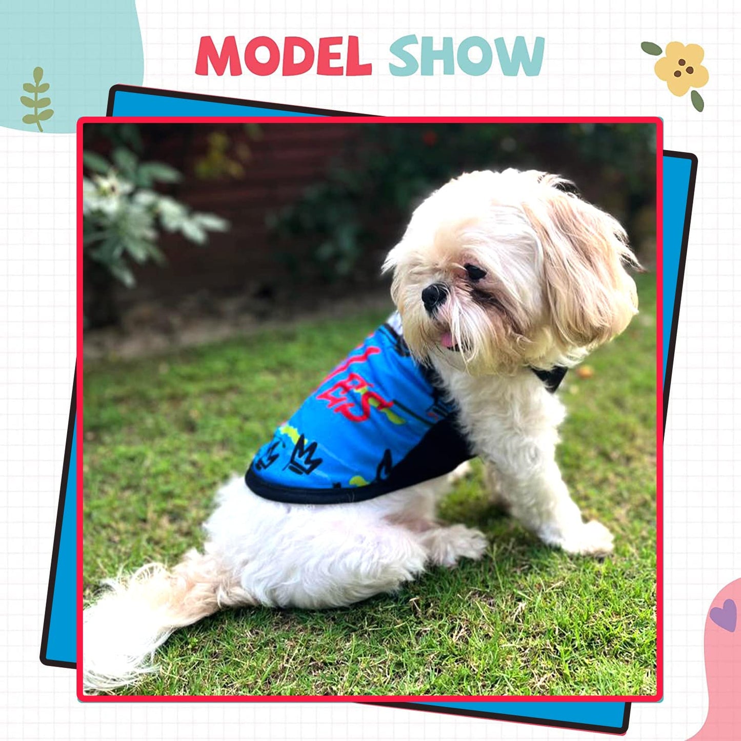 Printed Summer T-Shirts for Pets