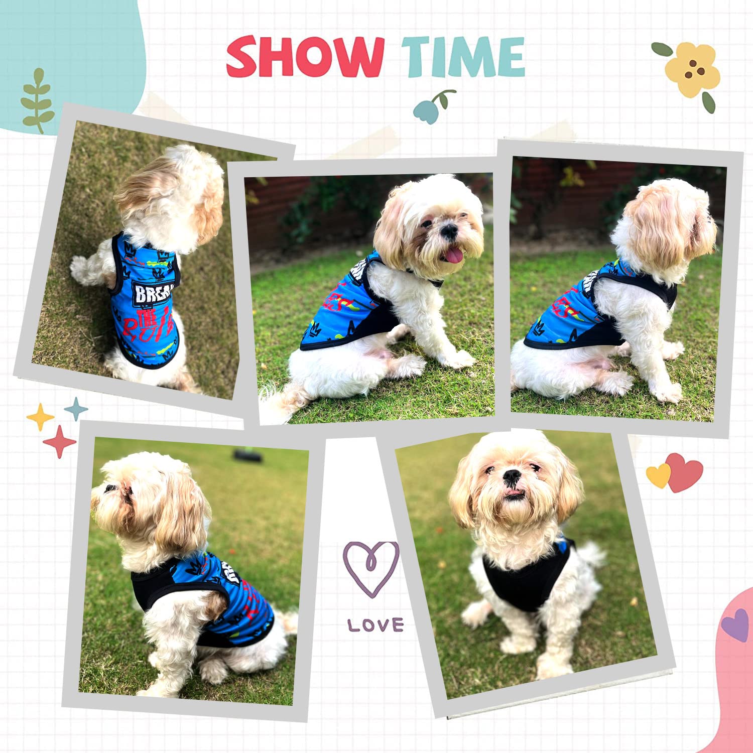 Printed Summer T-Shirts for Pets