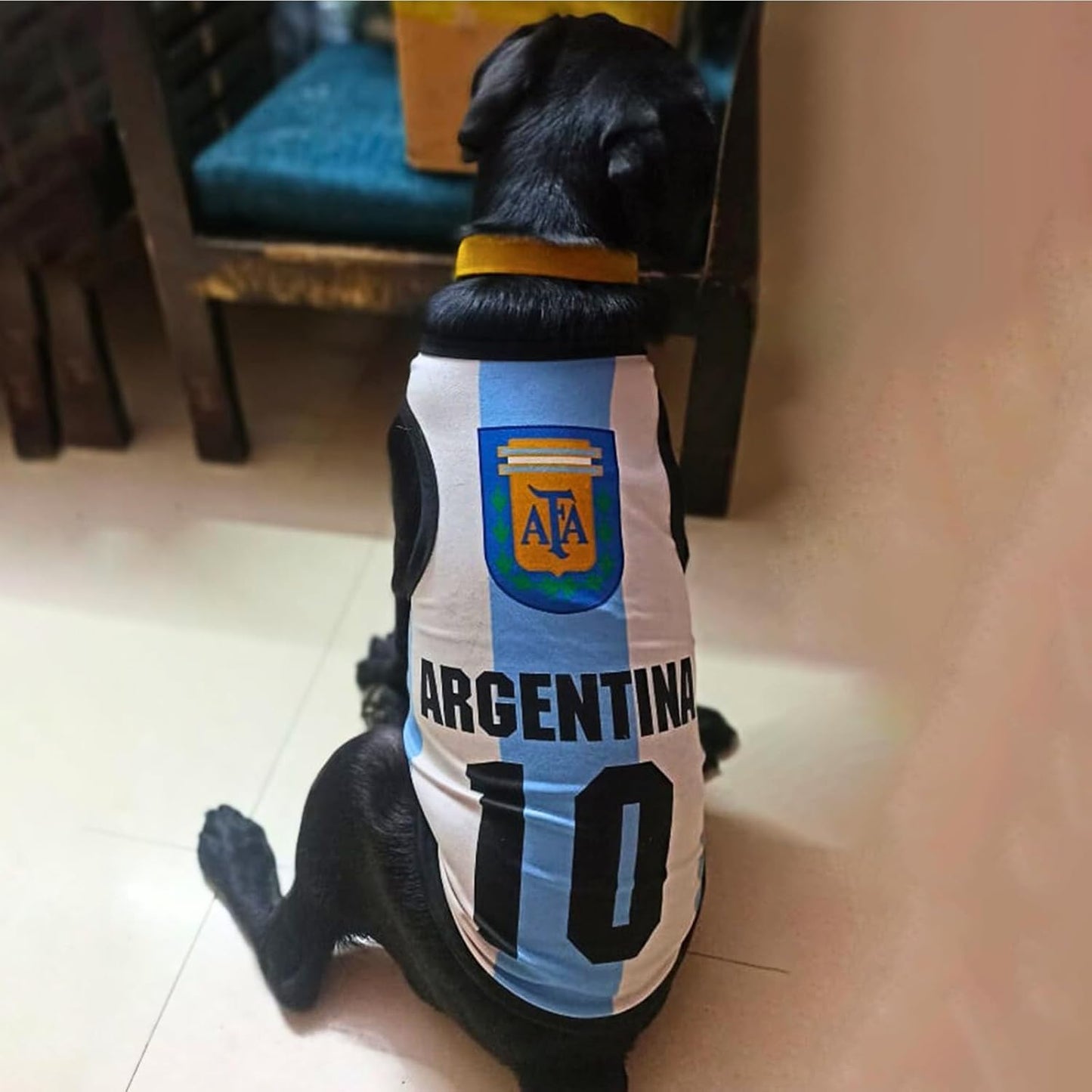 Printed Summer Pet T-Shirt