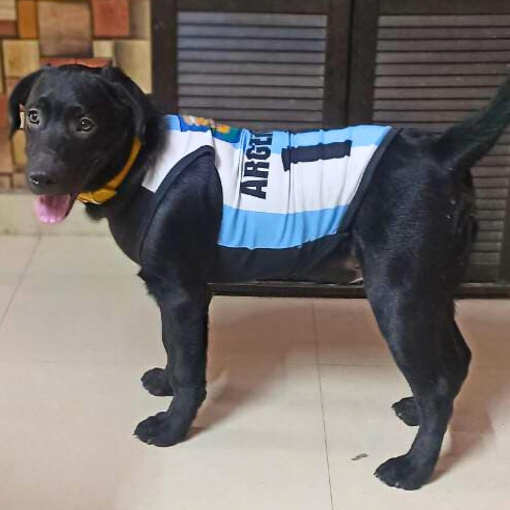 Printed Summer Pet T-Shirt