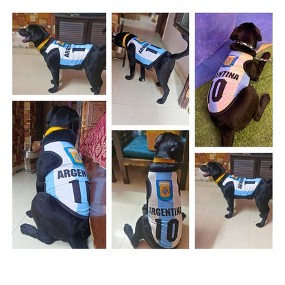 Printed Summer Pet T-Shirt