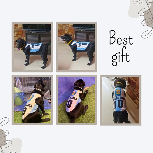 Printed Summer Pet T-Shirt