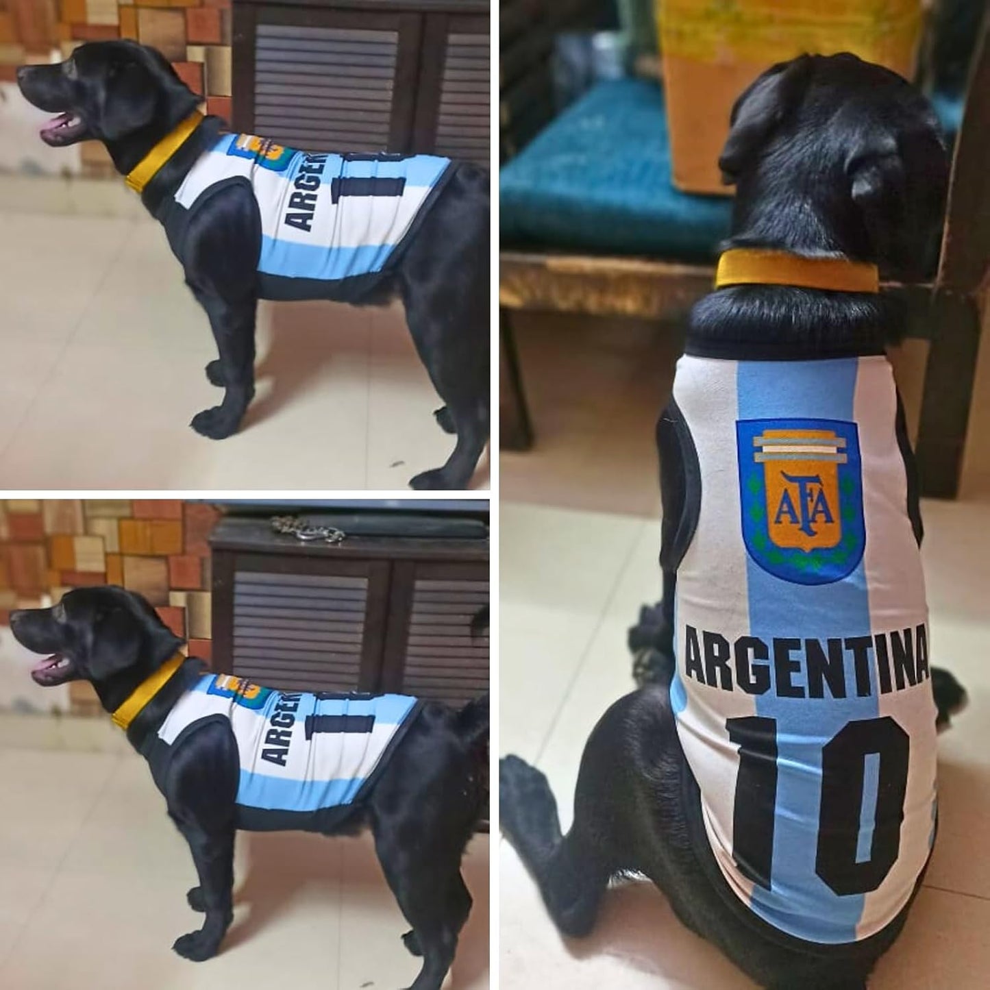 Printed Summer Pet T-Shirt