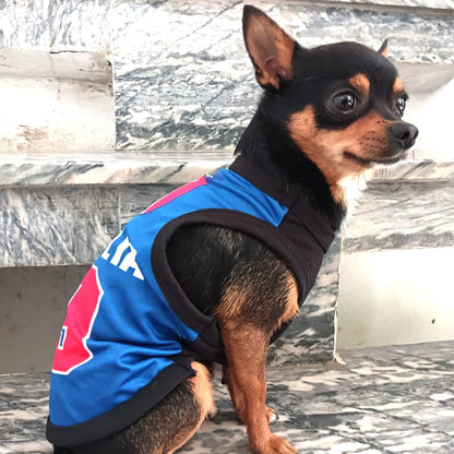 Printed Summer T Shirts for dogs