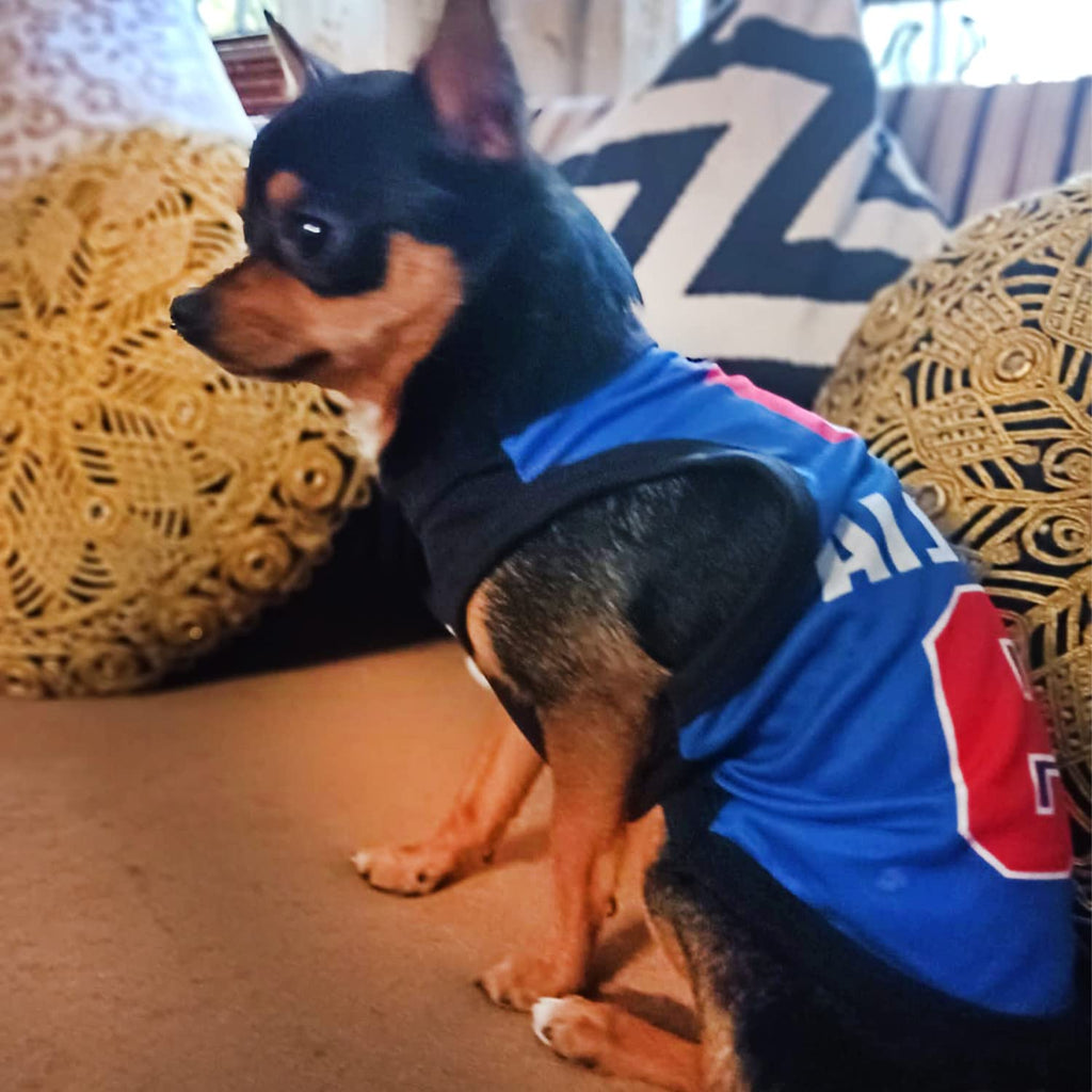 Printed Summer T Shirts for dogs