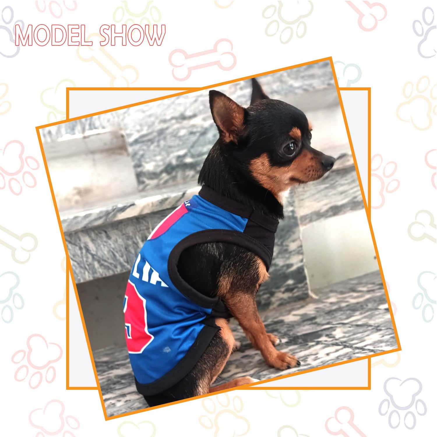 Printed Summer T Shirts for dogs