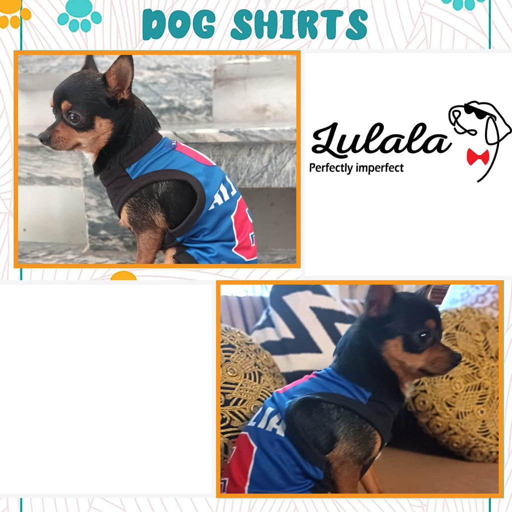 Printed Summer T Shirts for dogs