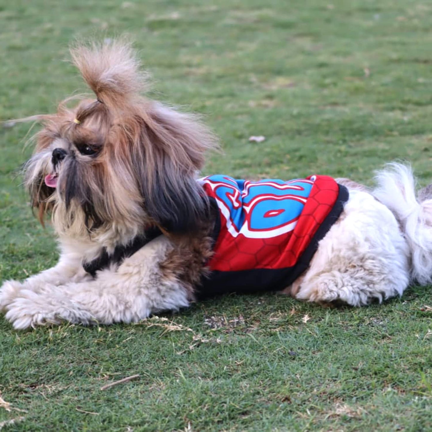 Summer Printed T Shirts for Puppies