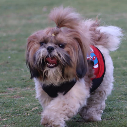 Summer Printed T Shirts for Puppies