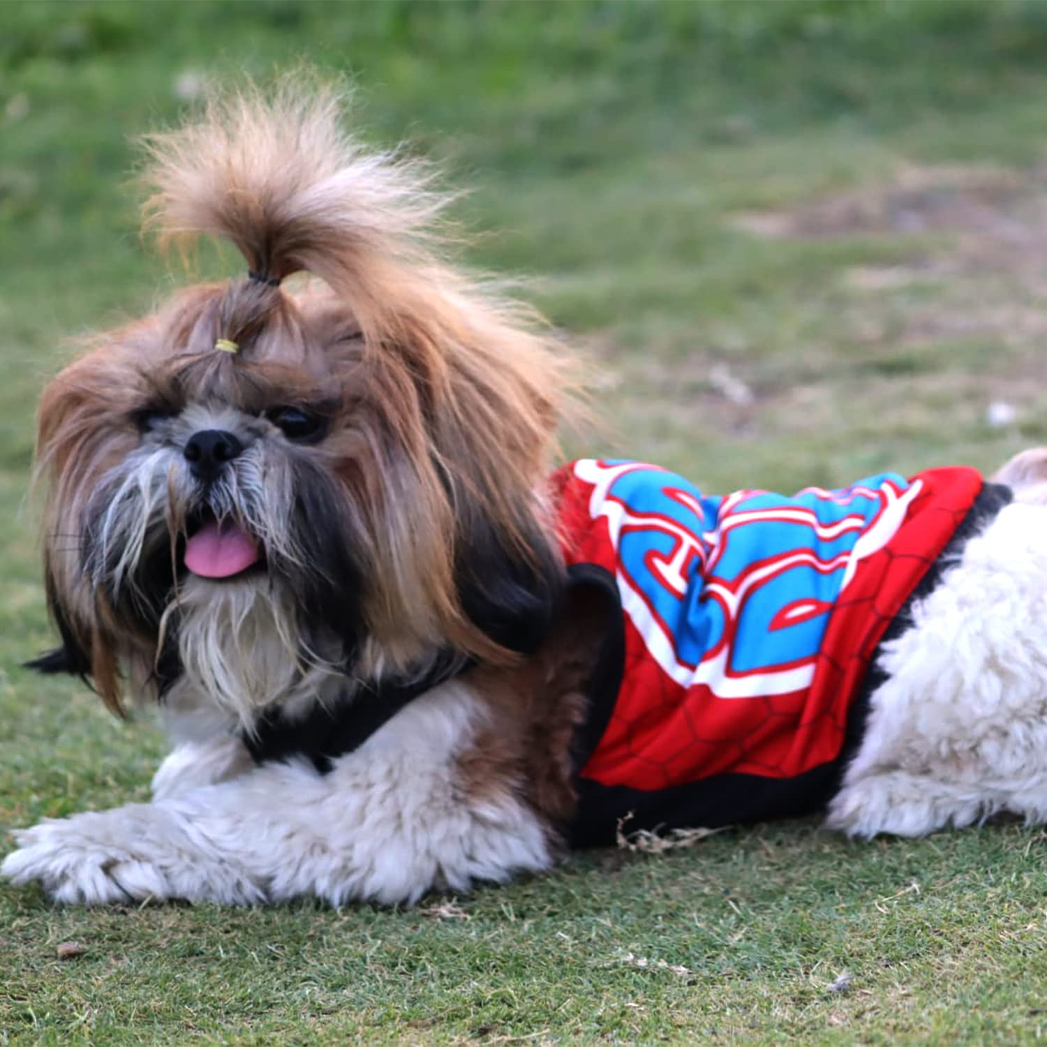 Summer Printed T Shirts for Puppies