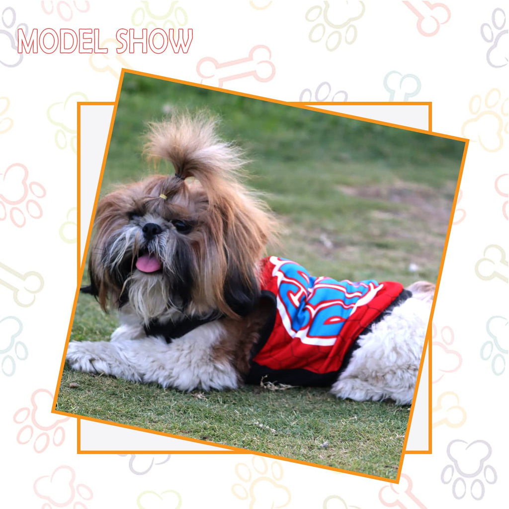 Summer Printed T Shirts for Puppies