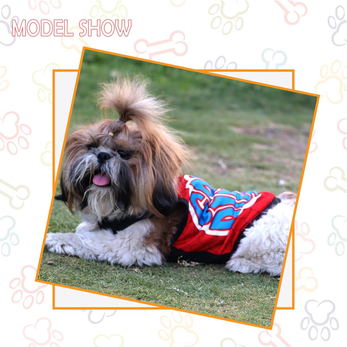 Summer Printed T Shirts for Puppies