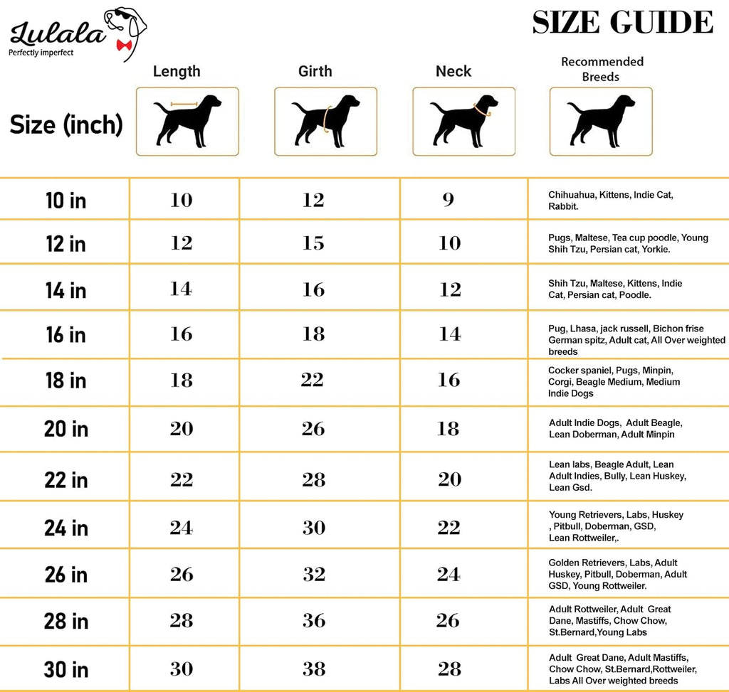 Summer Printed T Shirts for Puppies