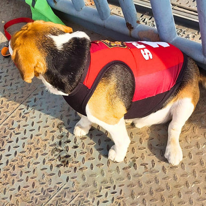 Spain Printed Summer Pet T-Shirt