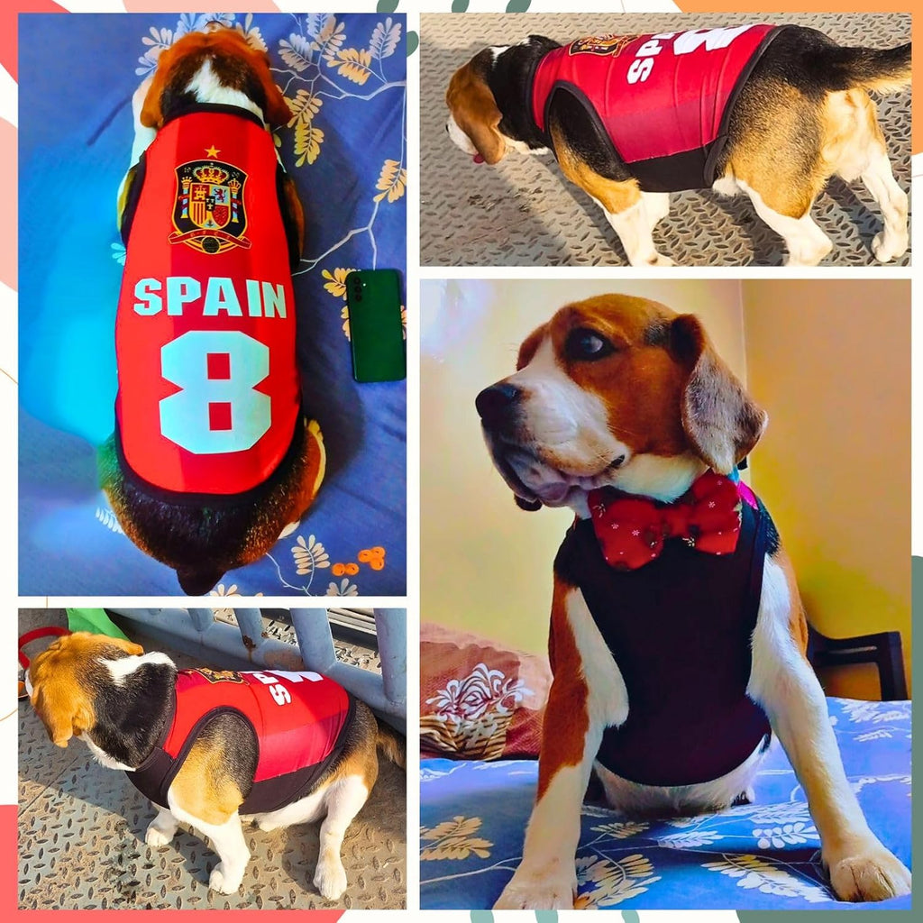 Spain Printed Summer Pet T-Shirt