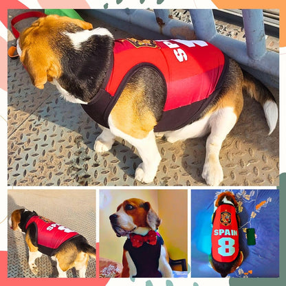 Spain Printed Summer Pet T-Shirt