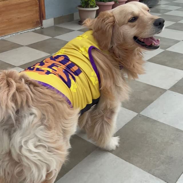 Printed Summer T-Shirt for Dogs