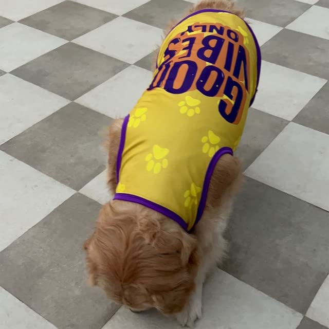 Printed Summer T-Shirt for Dogs