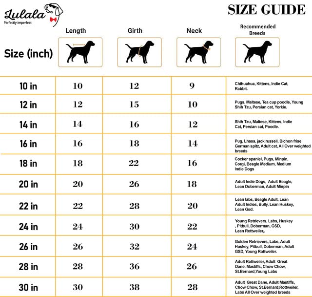 Printed Summer T-Shirt for Dogs