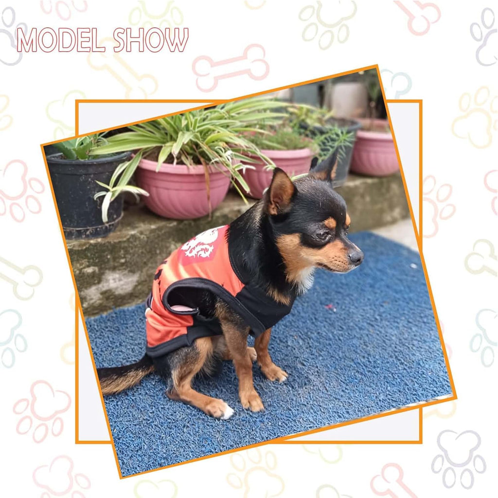 Printed Summer T Shirts for dogs