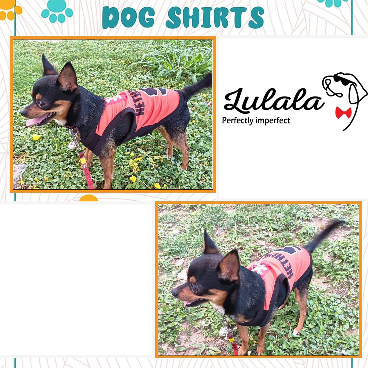 Printed Summer T Shirts for dogs