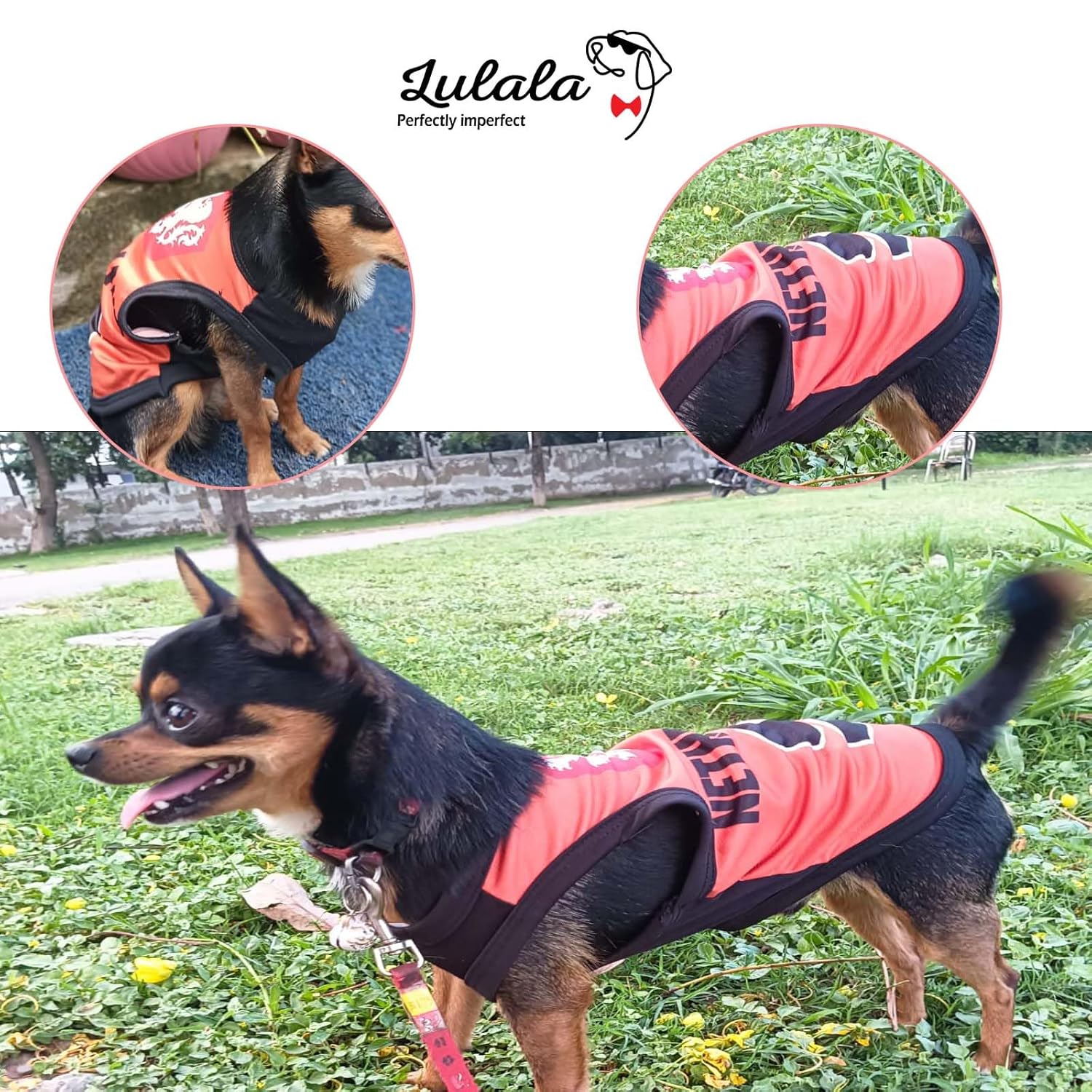 Printed Summer T Shirts for dogs