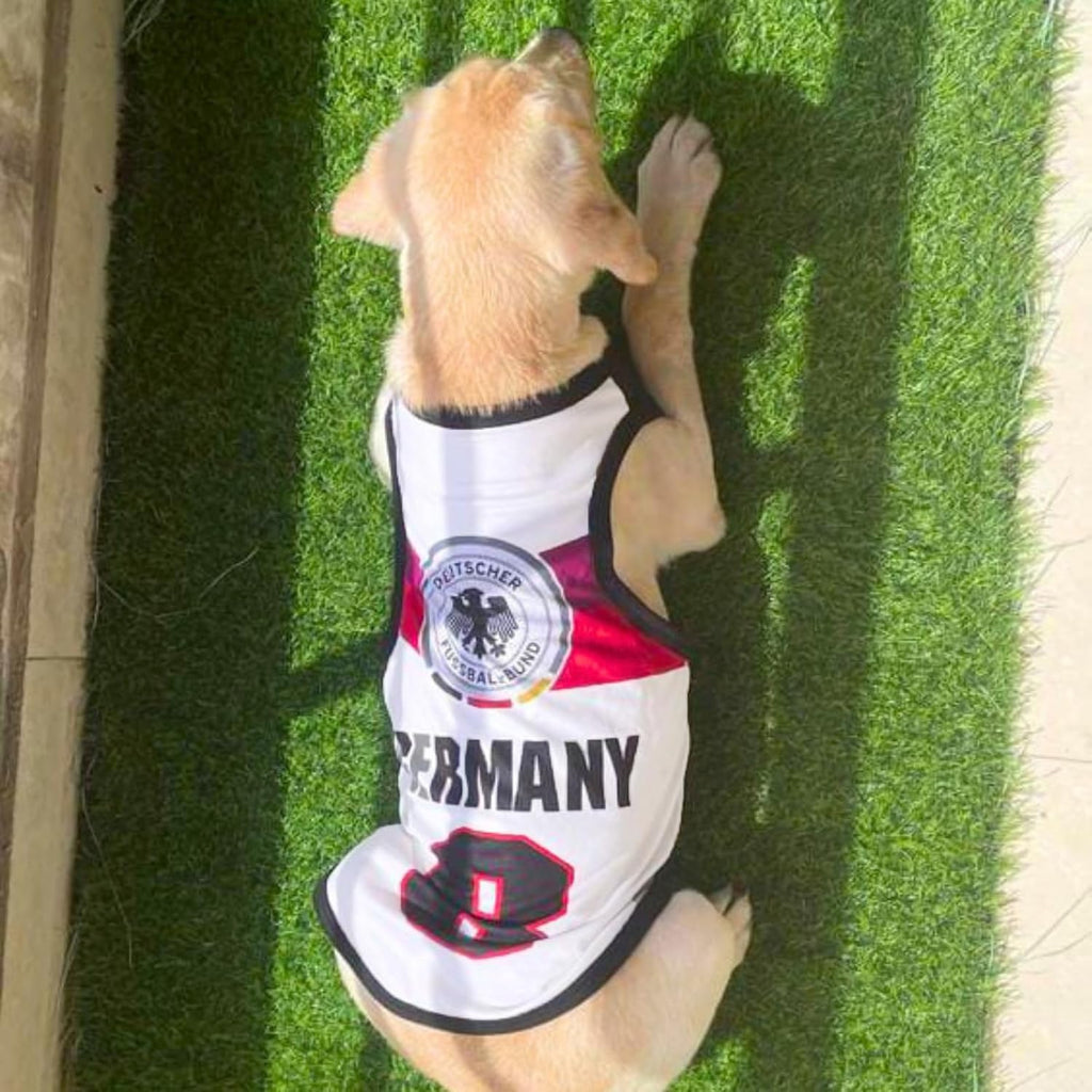 Summer Printed T Shirts for Dogs